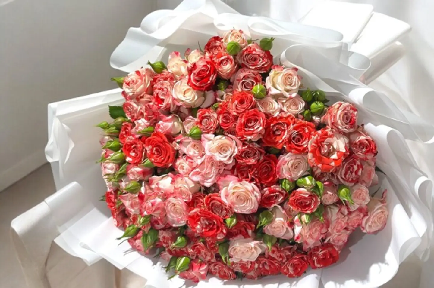 بوكيه بيبي روز دبل كلر