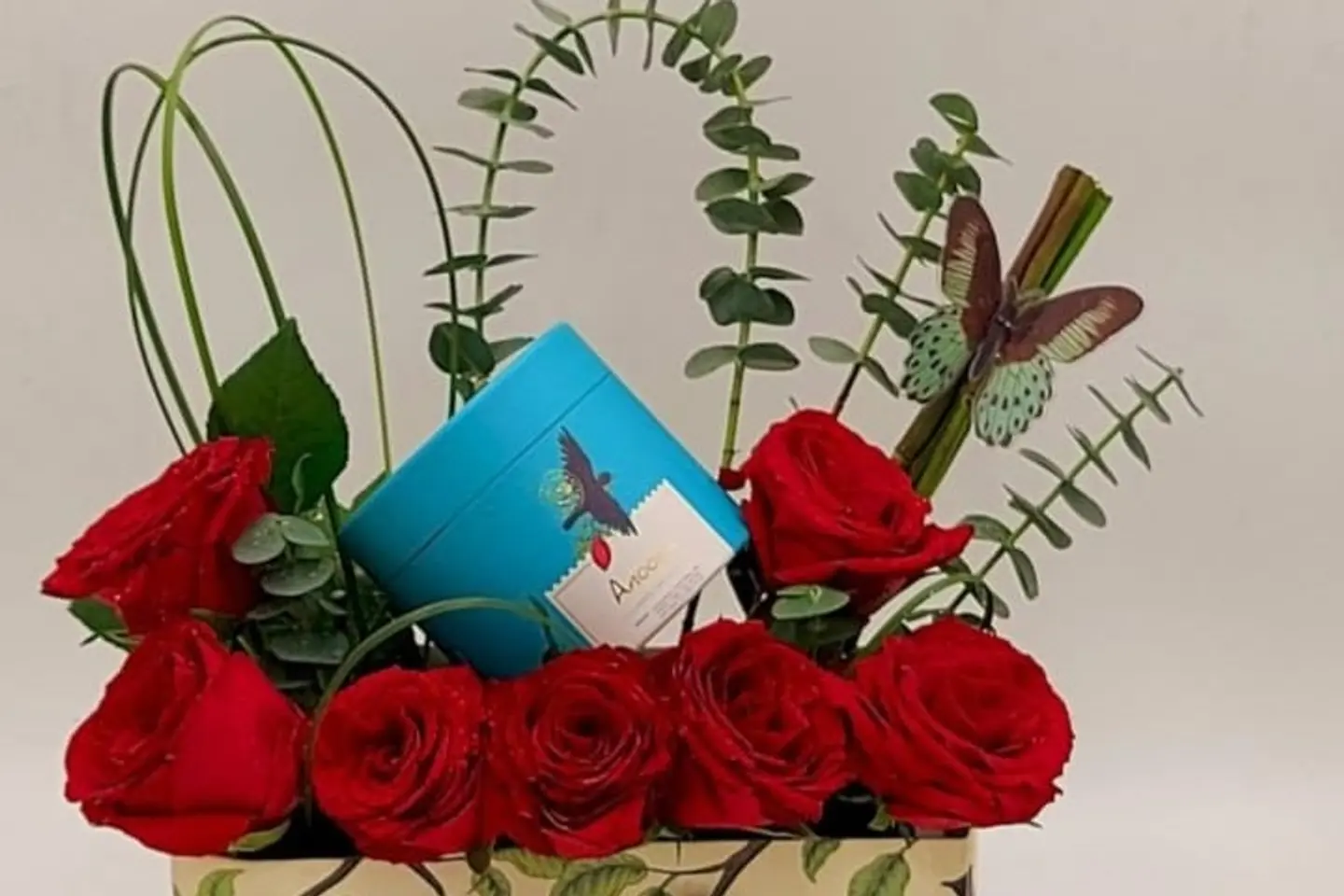 هدية أنوش