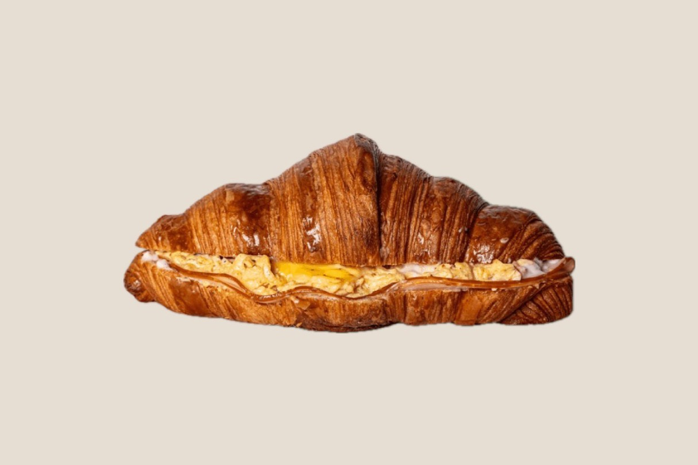 Cheese Omelet
