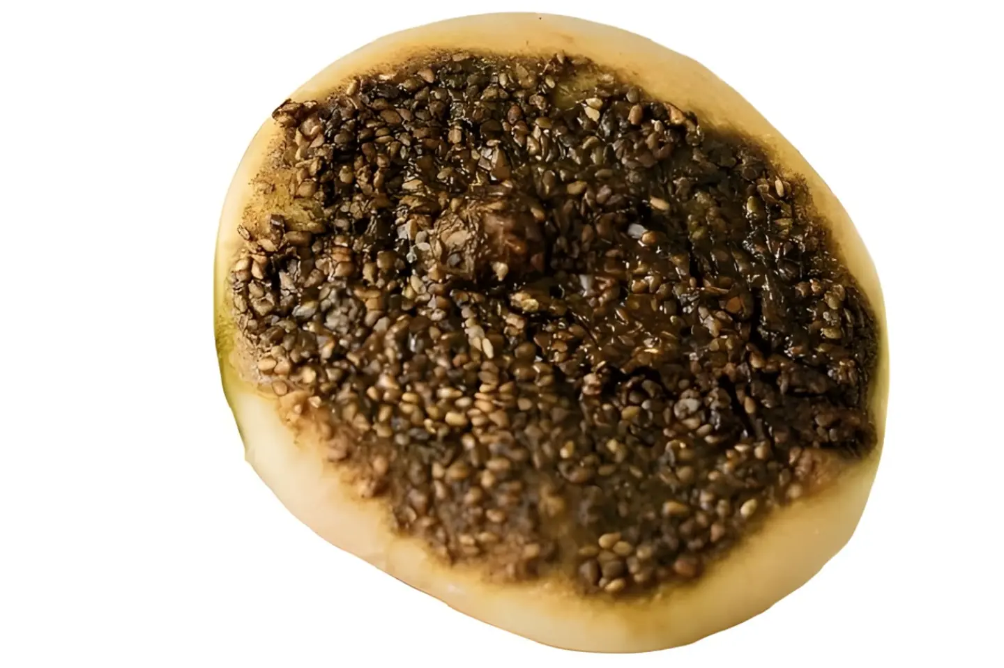 فطيرة الزعتر