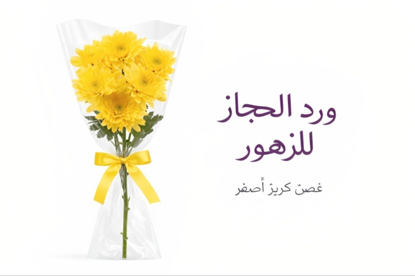 Rose   580