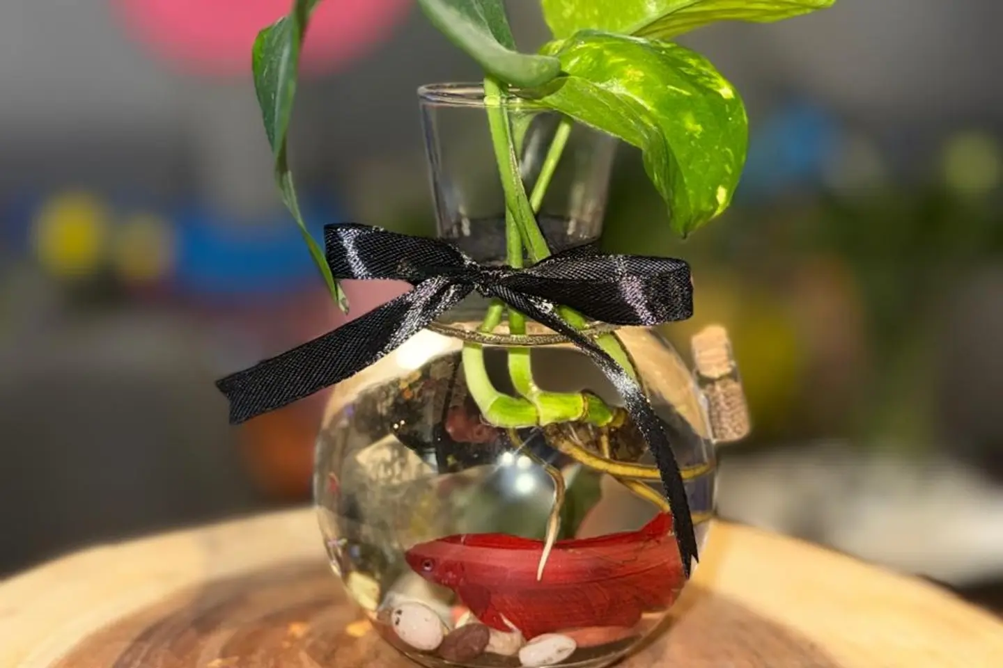 فايتر عنق البوتس بشريطة سوداء