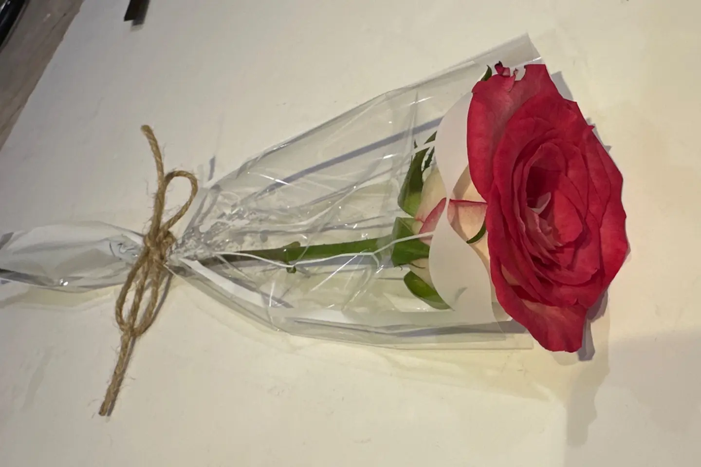 وردة دبل كلر