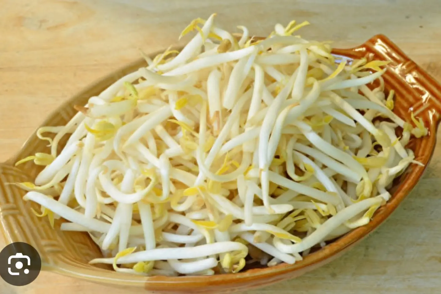 Bean Sprouts