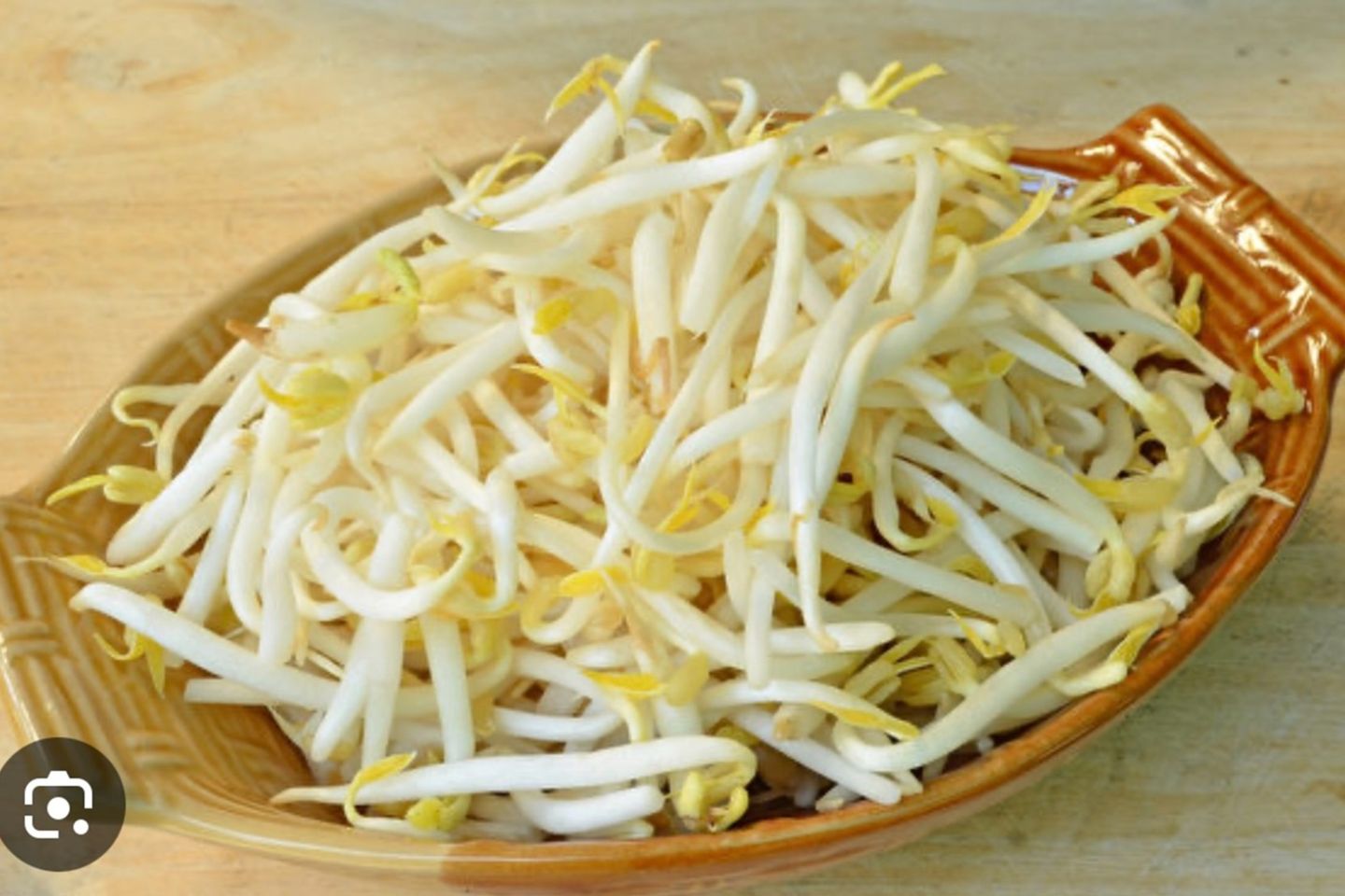 Bean Sprouts
