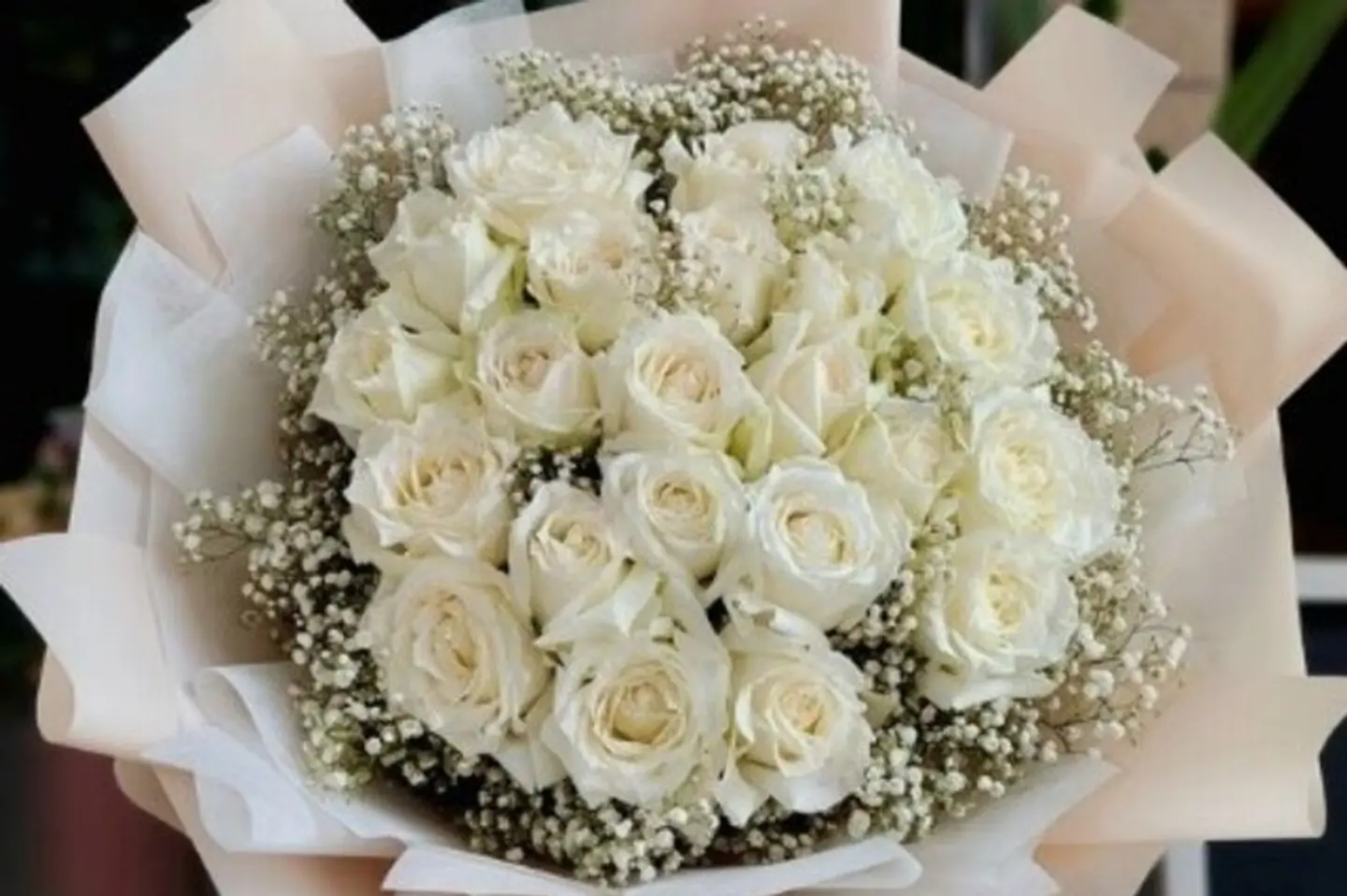 توهج الياقوت ٢٠