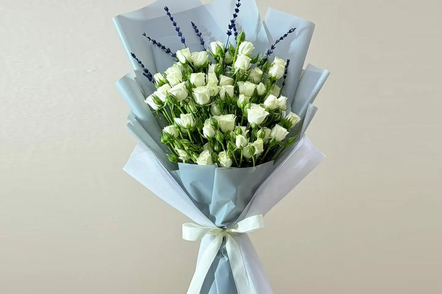 الأناقة الكلاسيكية