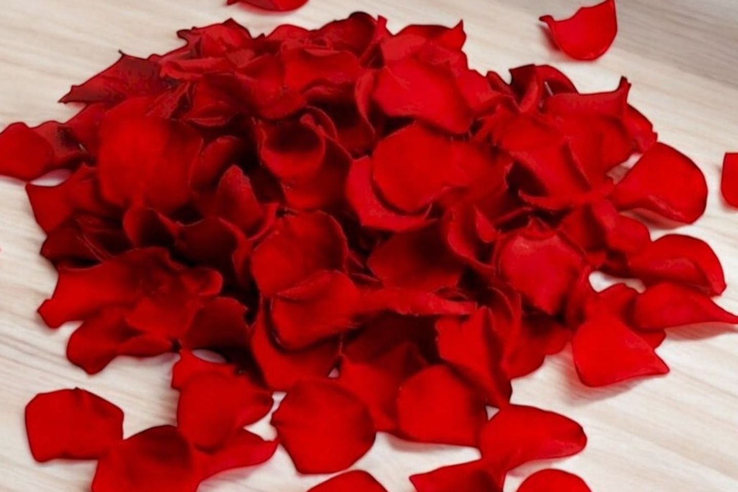 Rose 20