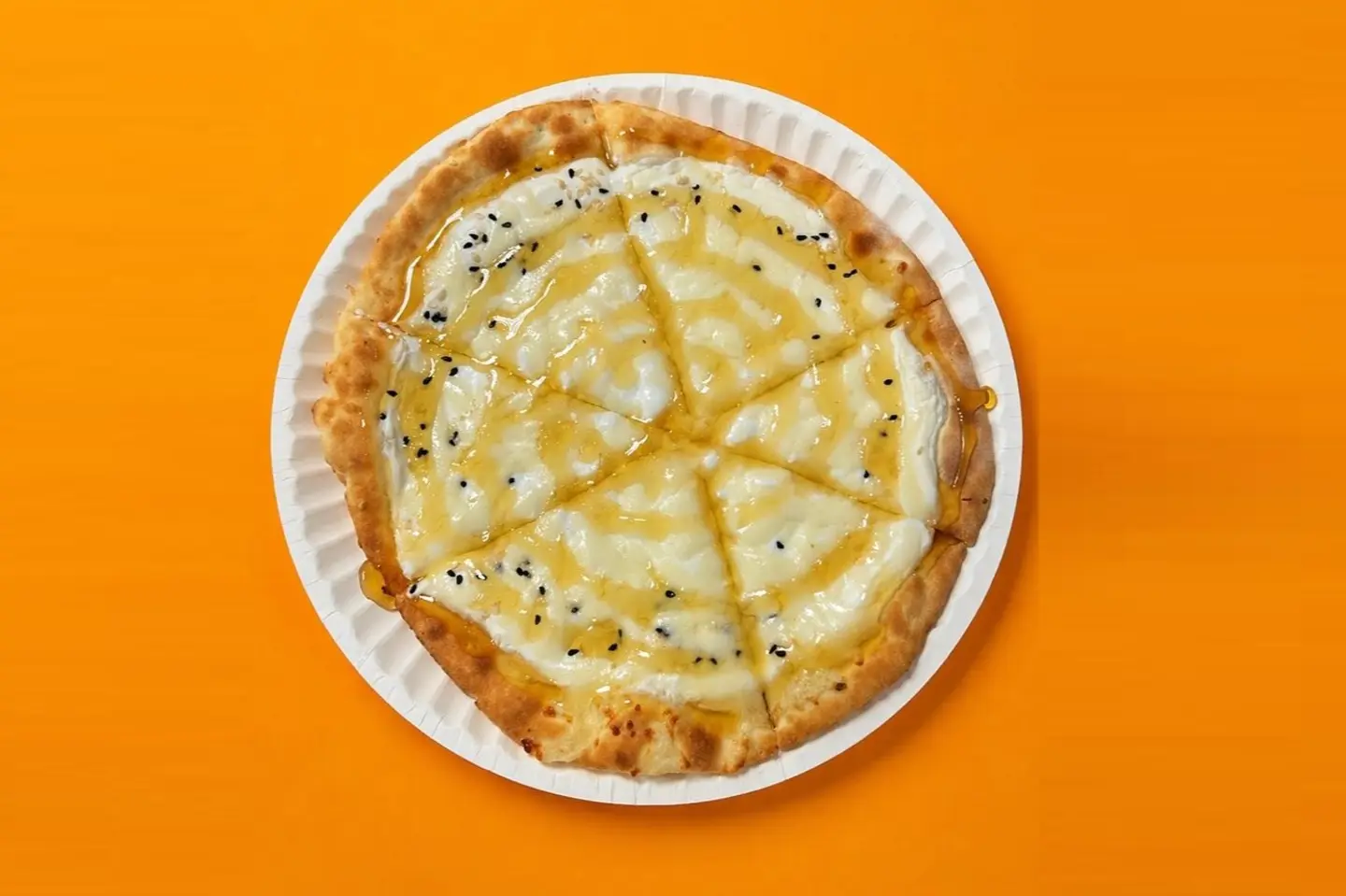 Bulbul Nest