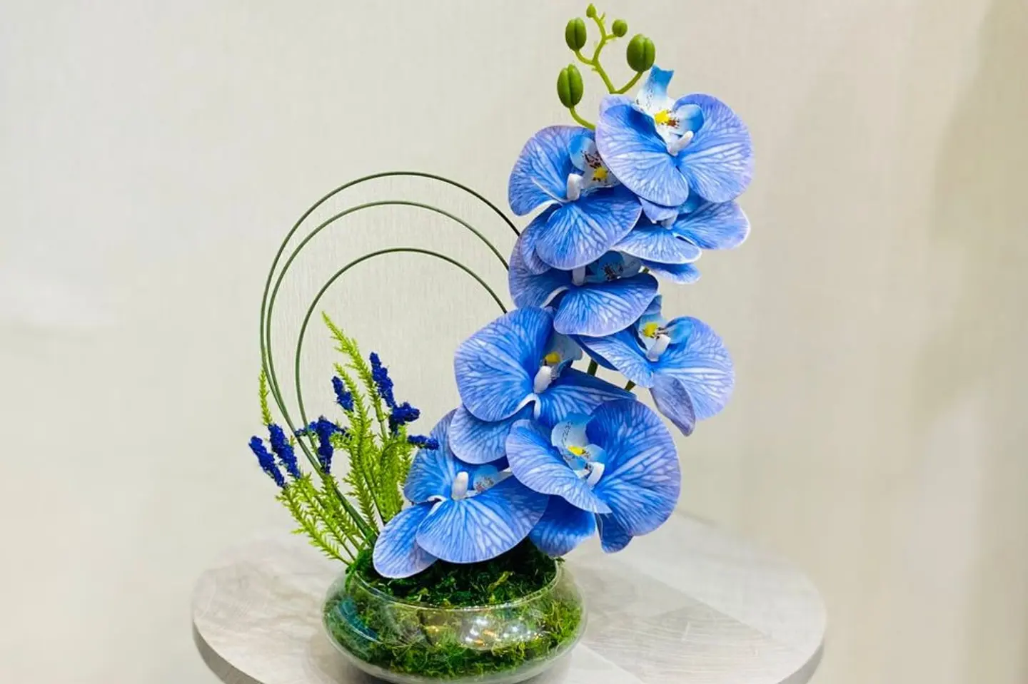 تنسيق بسيط أوركيد أزرق