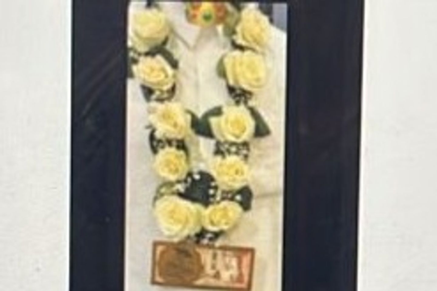 Natural White Rose Necklace With Acrylic Envelope For Graduation