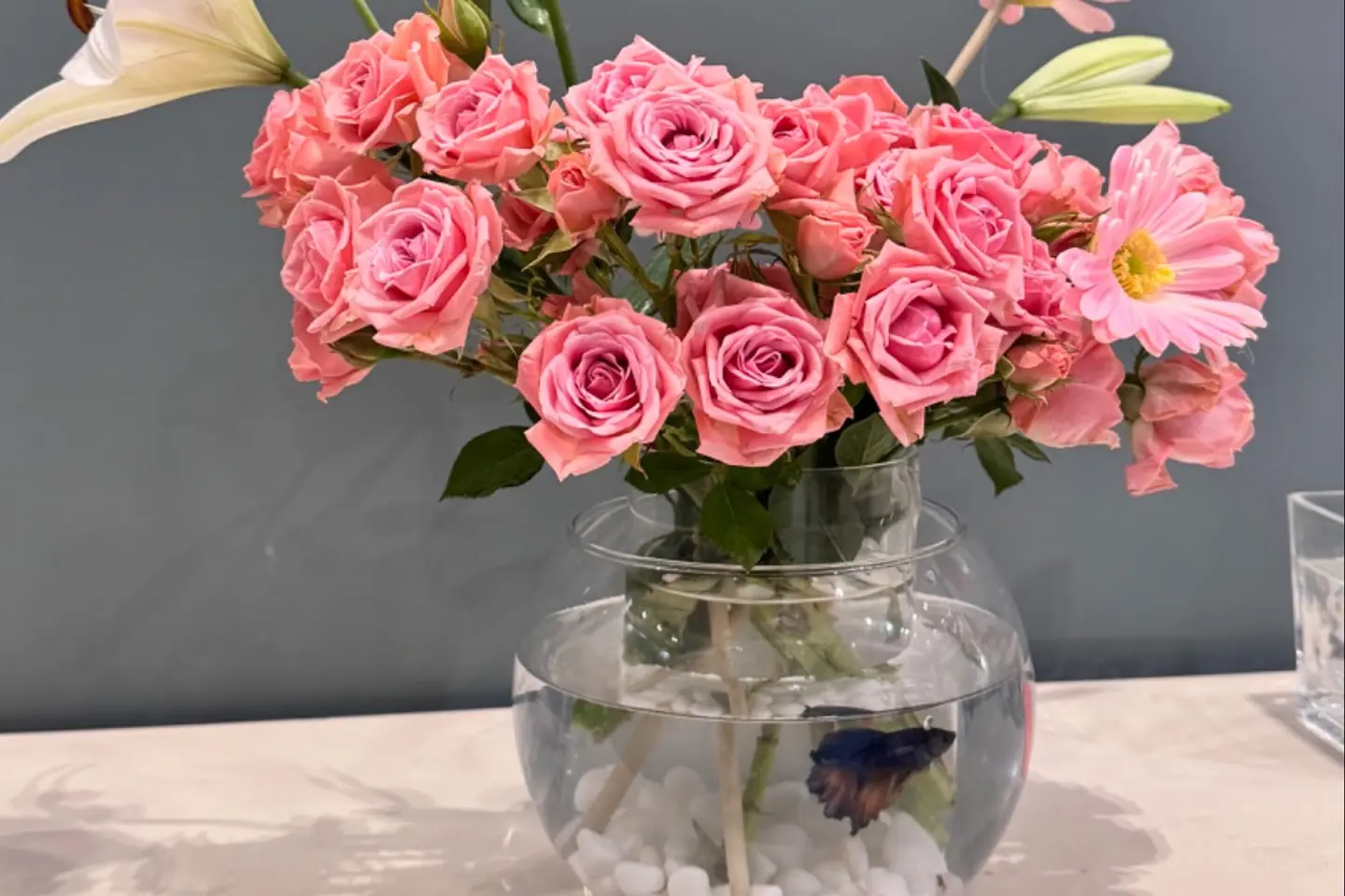 فازة ورد طبيعي مع سمك فايتر