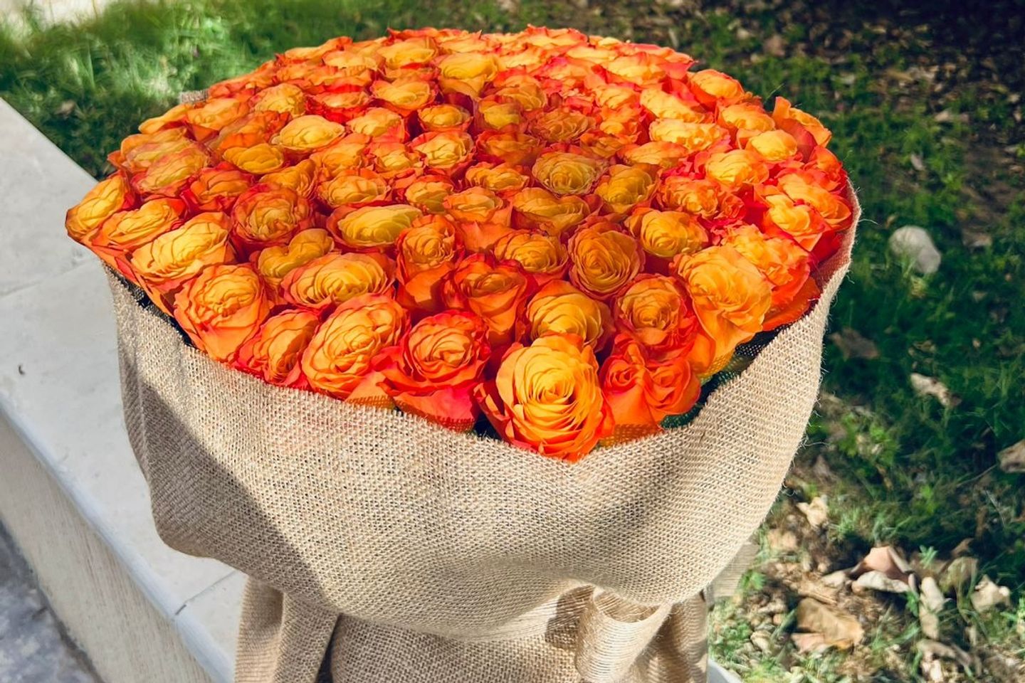 باقة الإشراقة