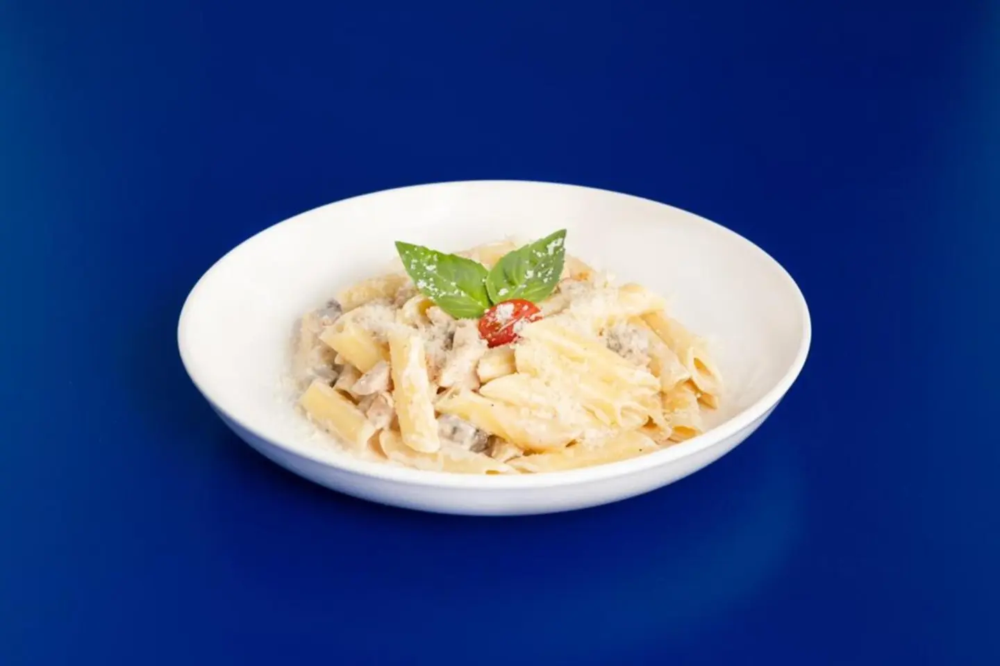Small Alfredo Pasta