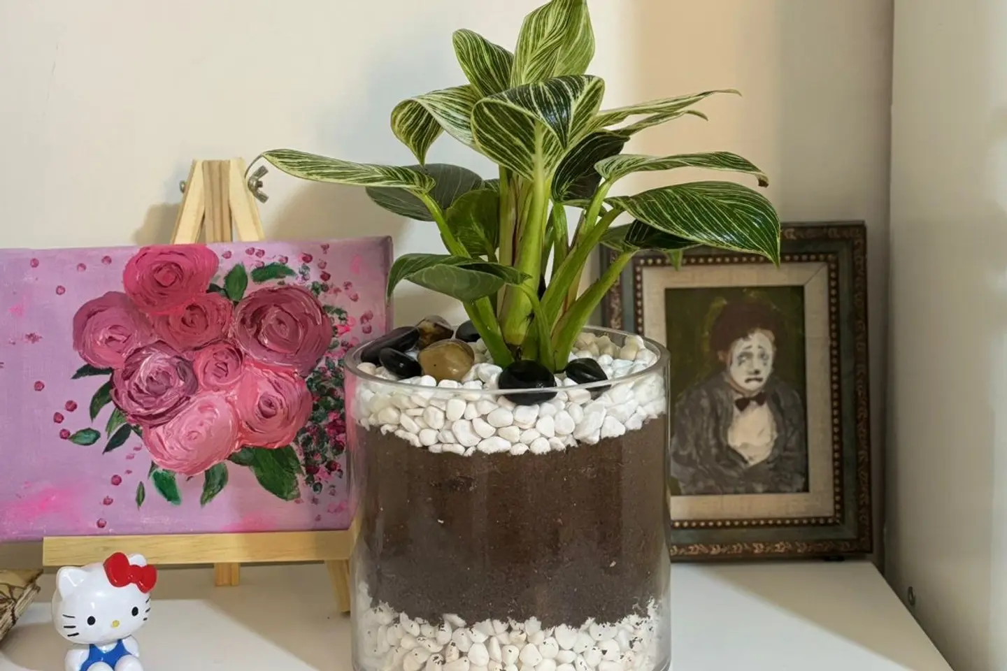 Princess White Plant In A Cylindrical Vase 14