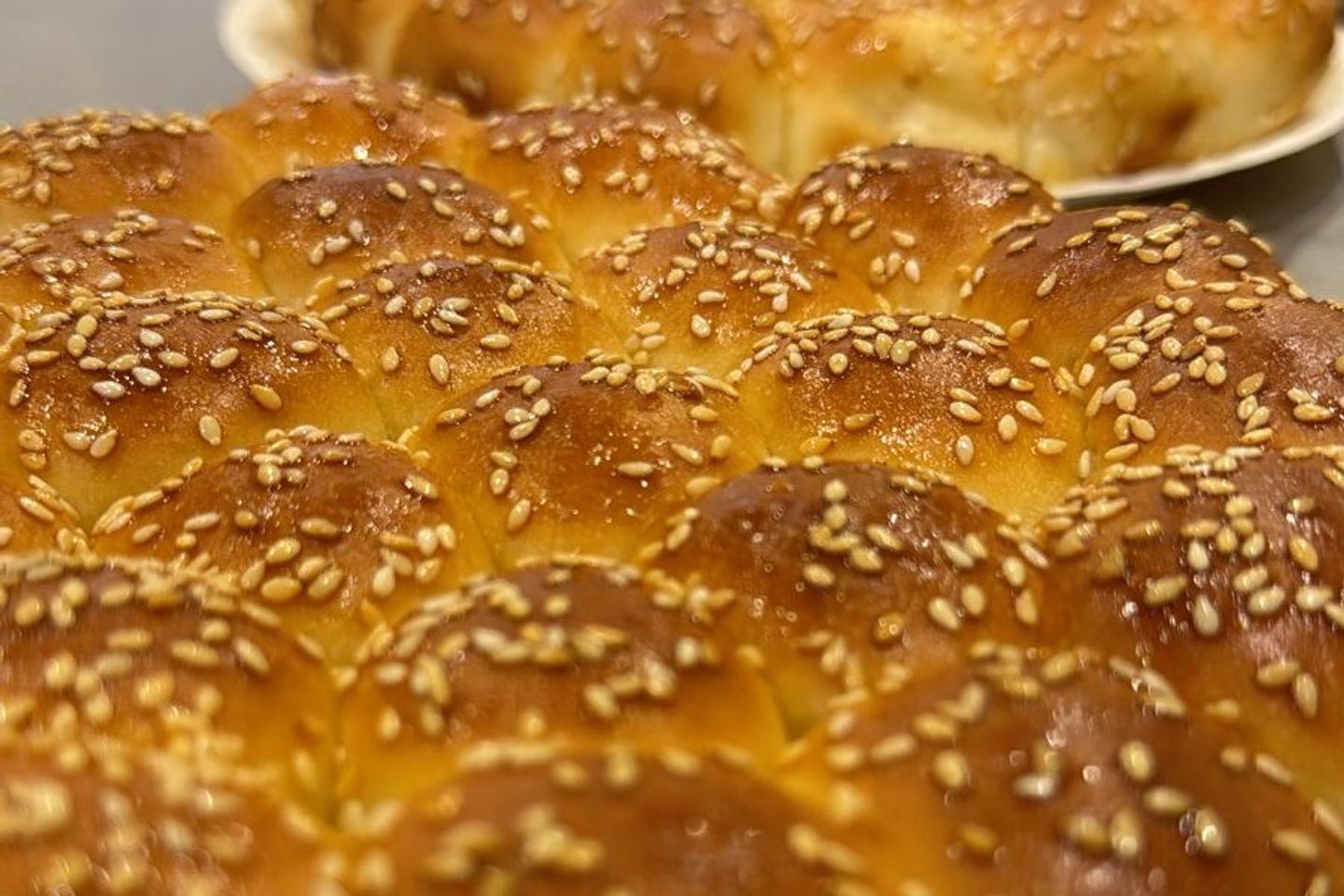 خلية جبن