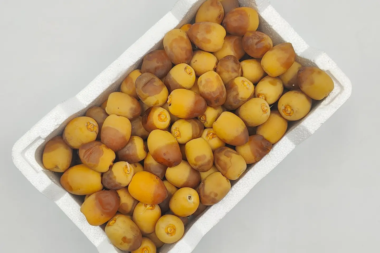 روثانة رطب