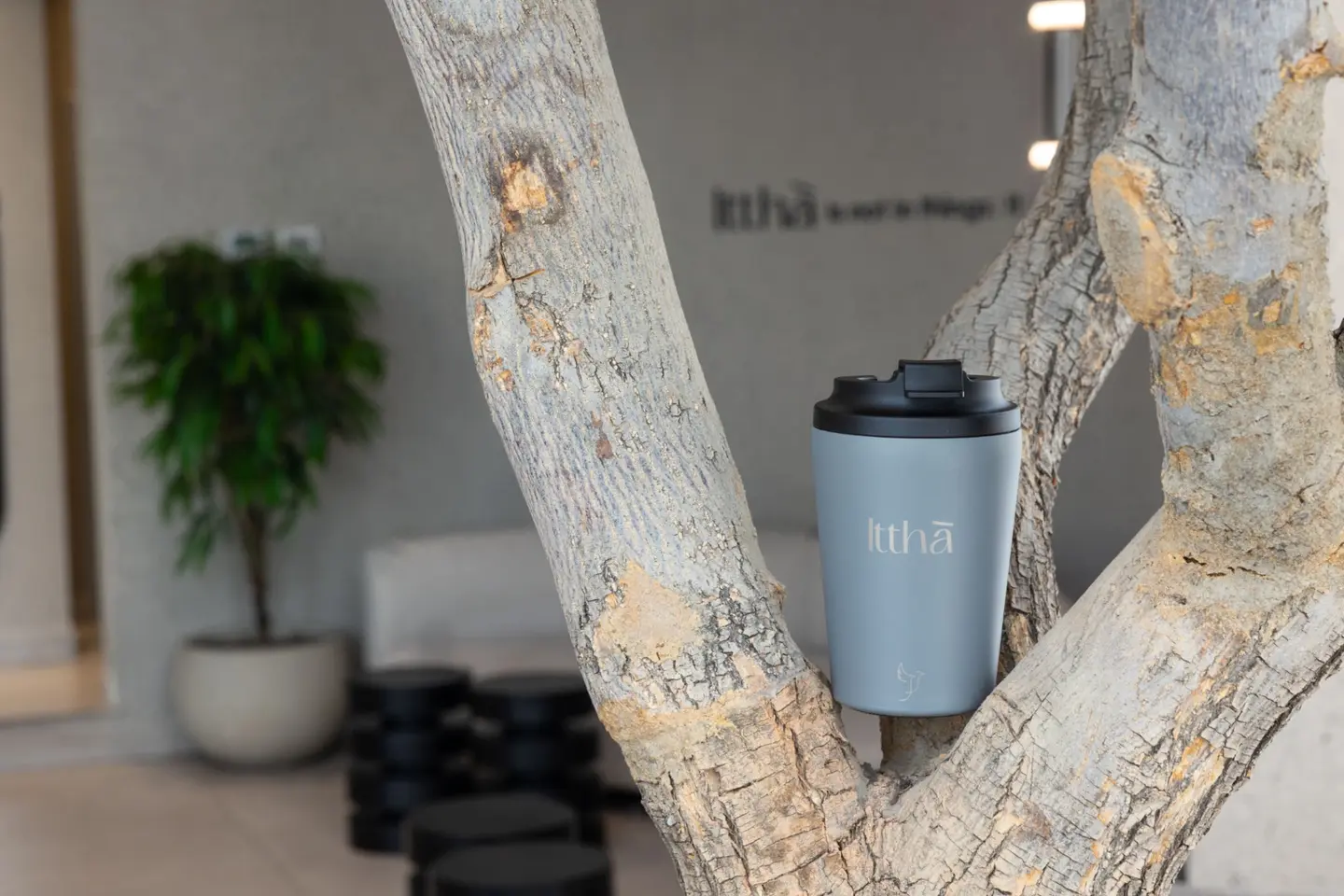 ايثا مق رمادي