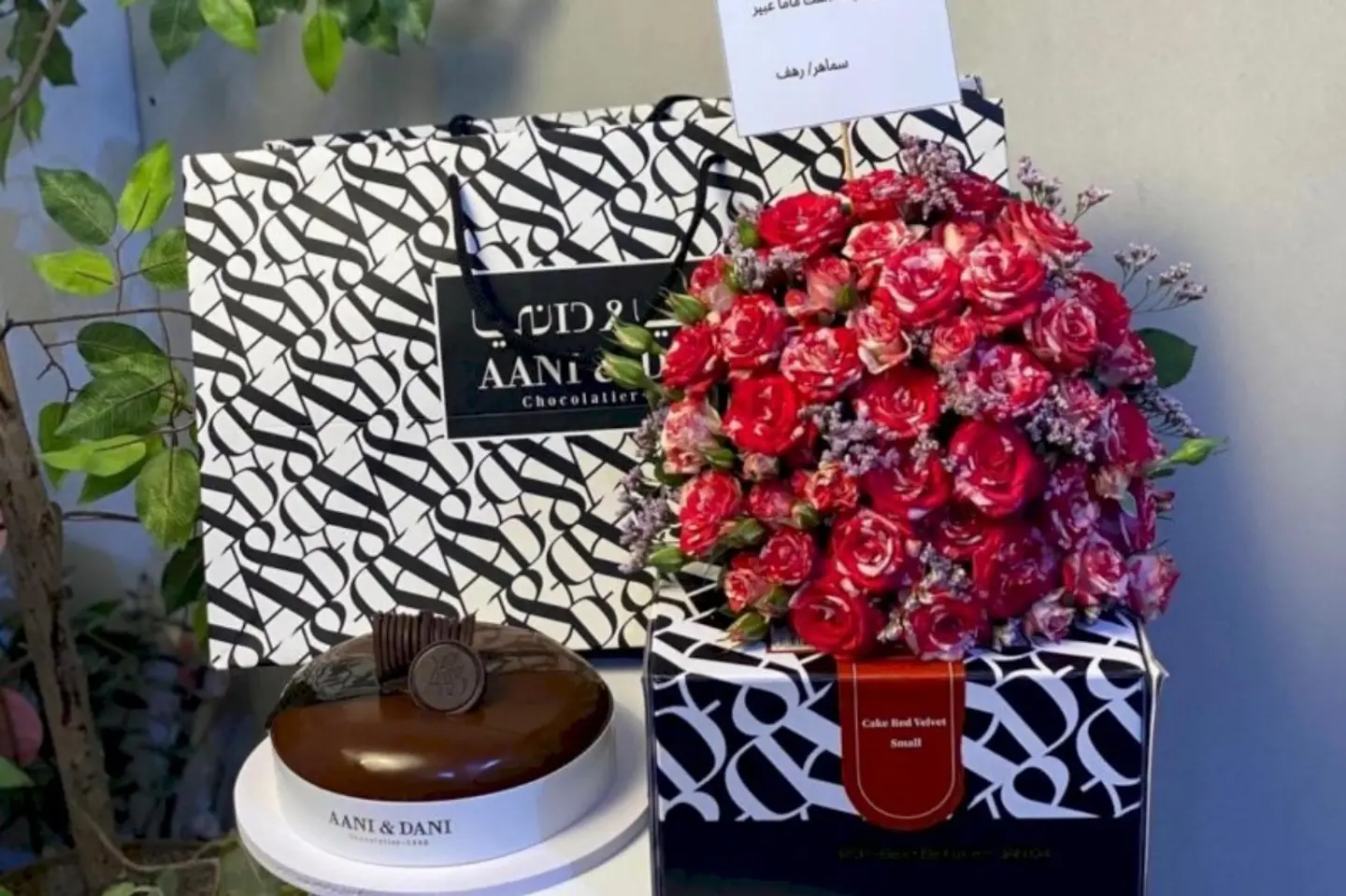 تنسيق دبل كلر مع كيك جالكسي اني وداني