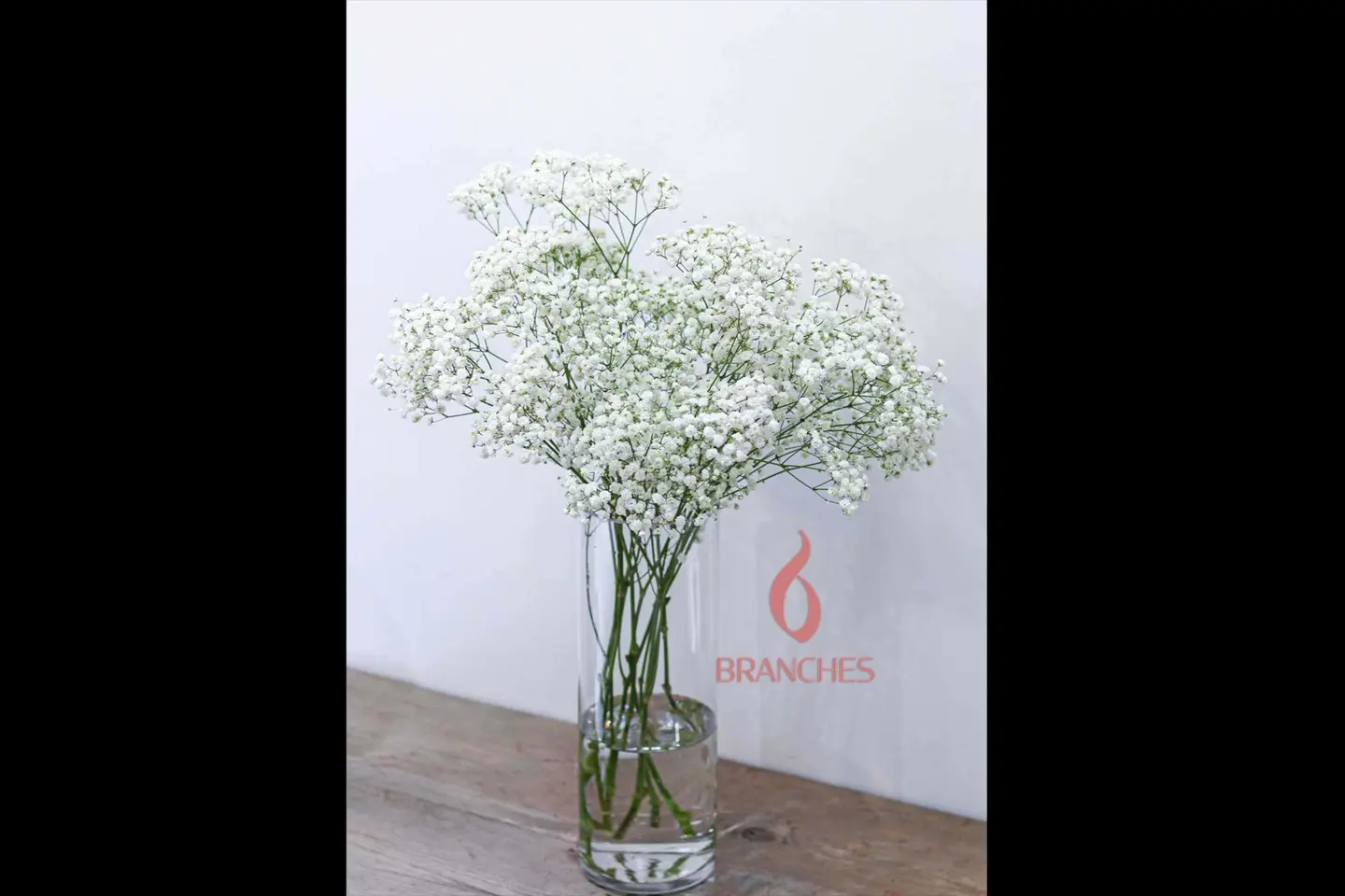 ٠٩٥ - الهلالية