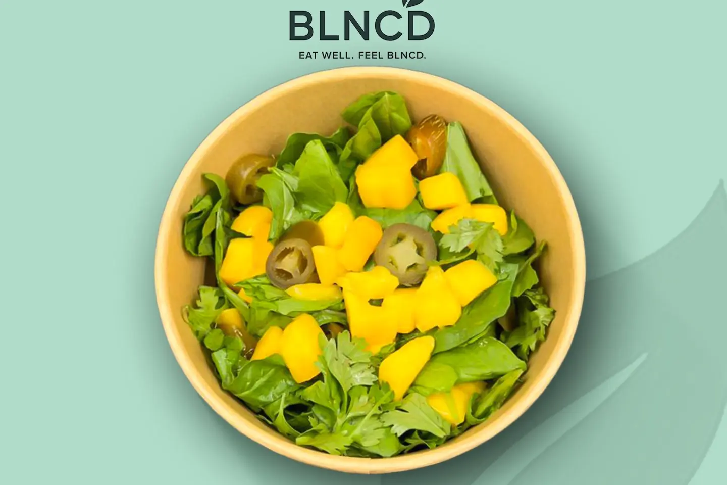 Mexican Street Salad