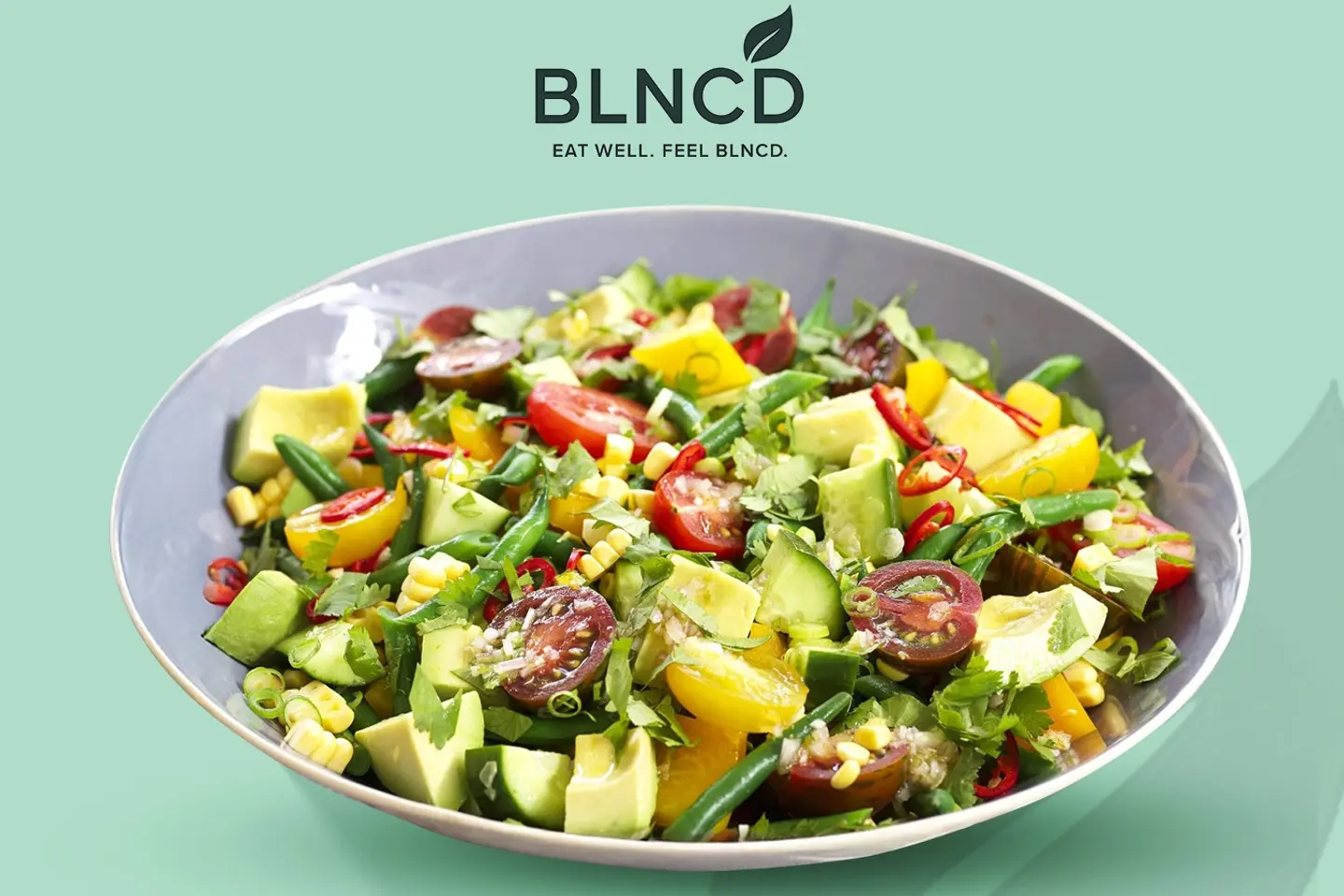 Mix Vegetables Salad