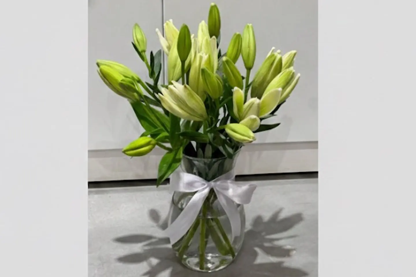 فازة ورد- ليليم قبل التفتيح