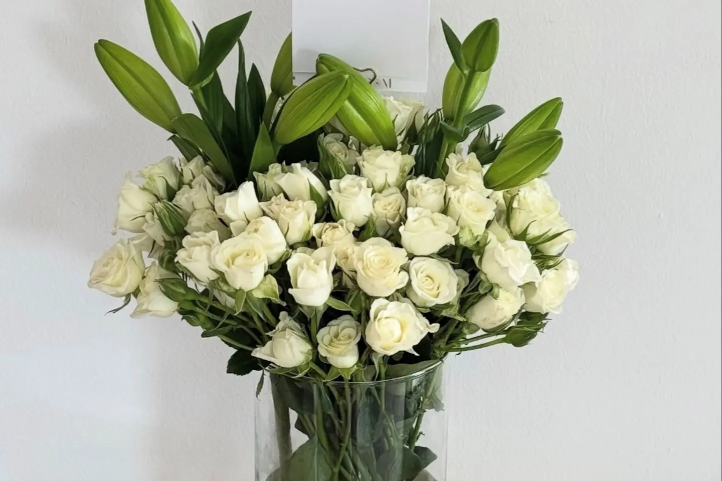 فازة ورل - طيف الالوان