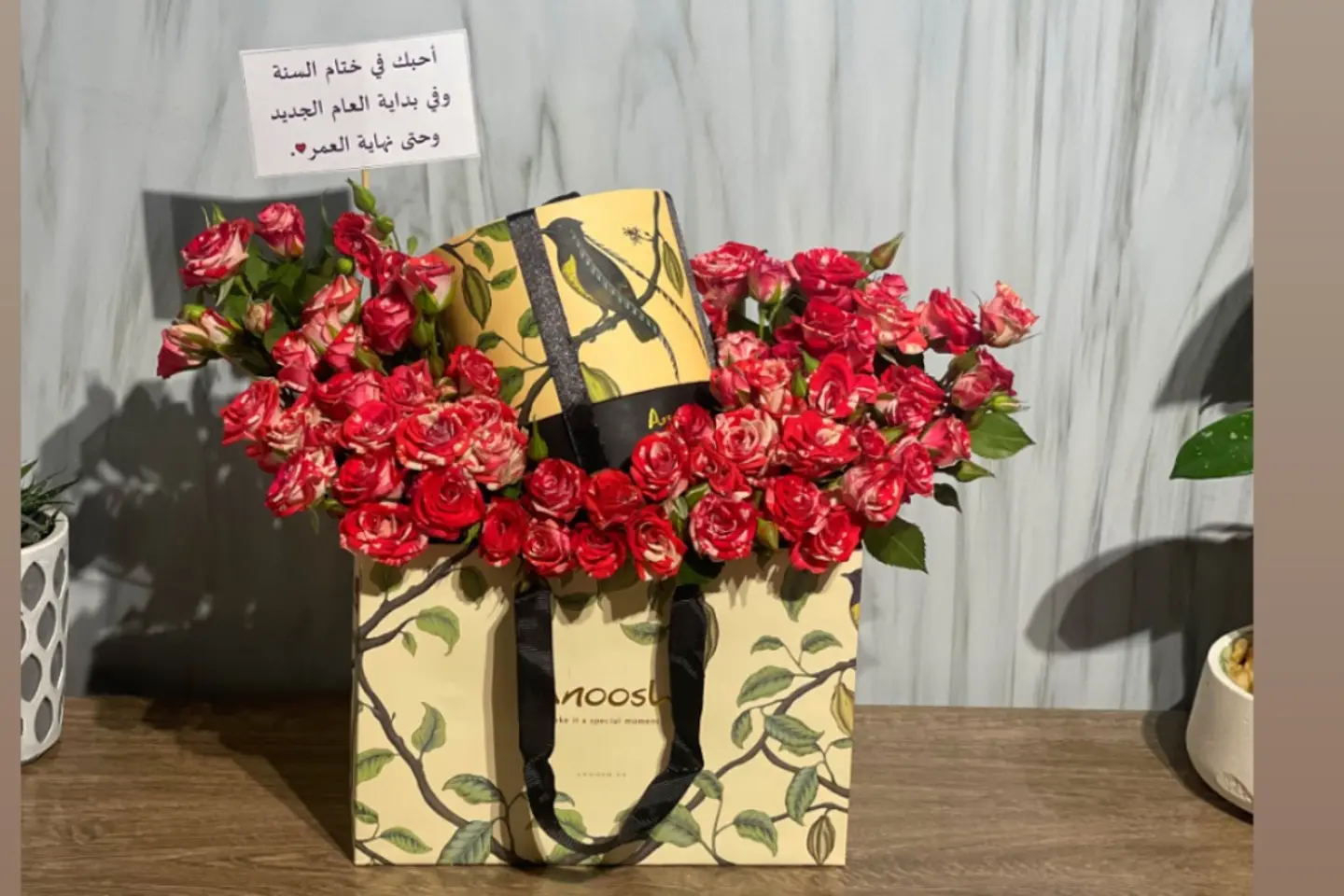 تنسيق انوش٣