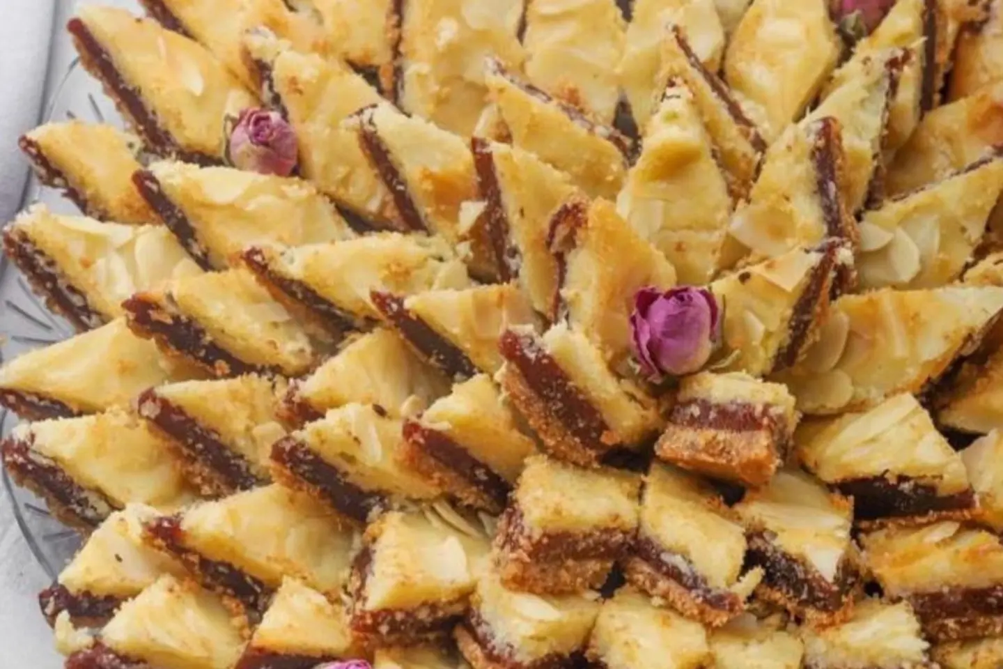 ڤايولت ديت بايتس