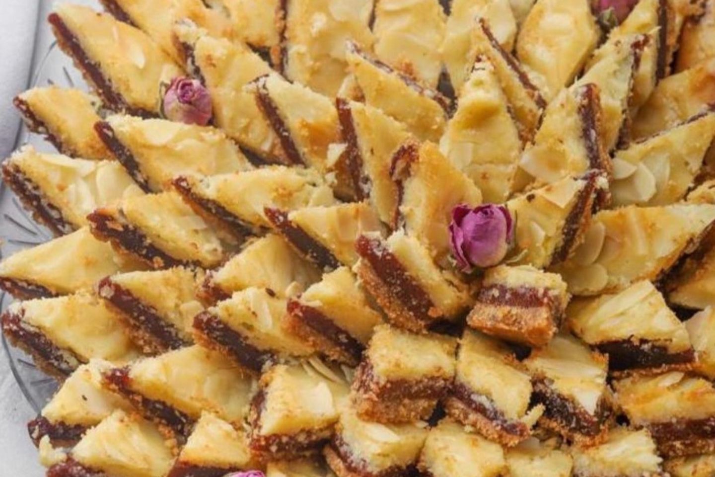 ڤايولت ديت بايتس