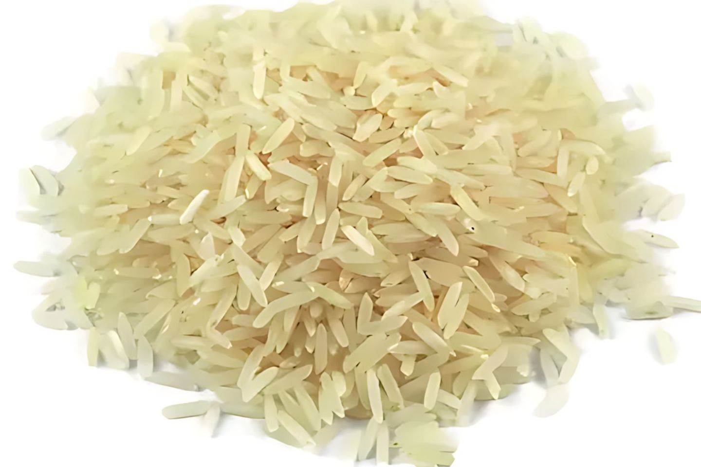 Popular Rice