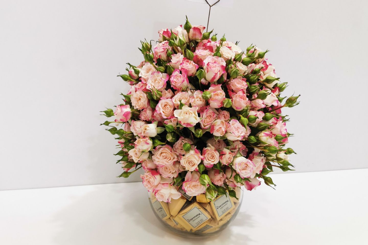 Baby Rose And Chocolate