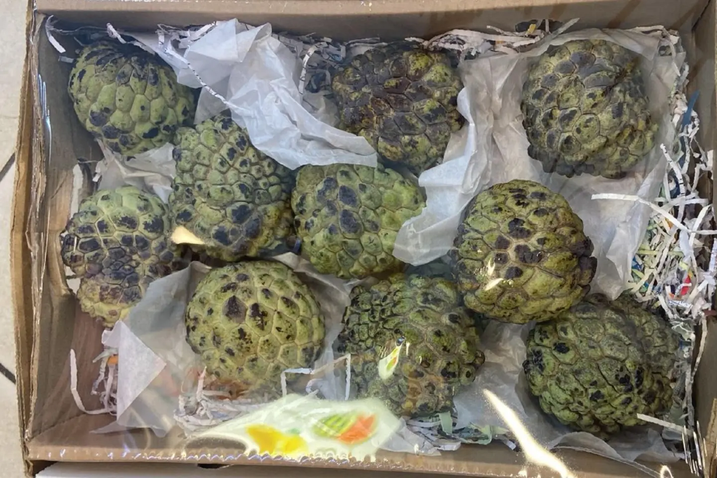 كرتون فاكهة القشطة