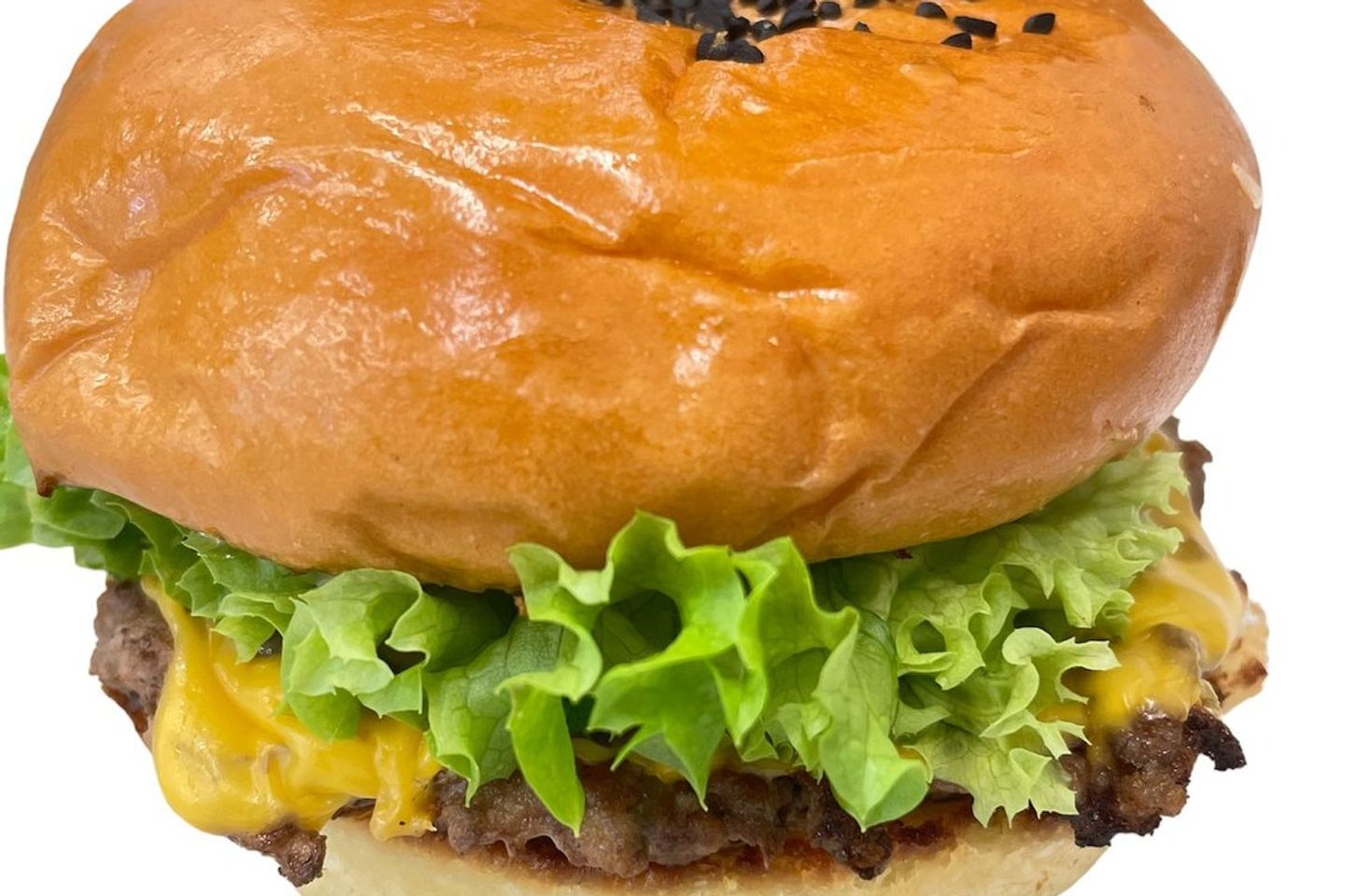 Duple Classic Beef