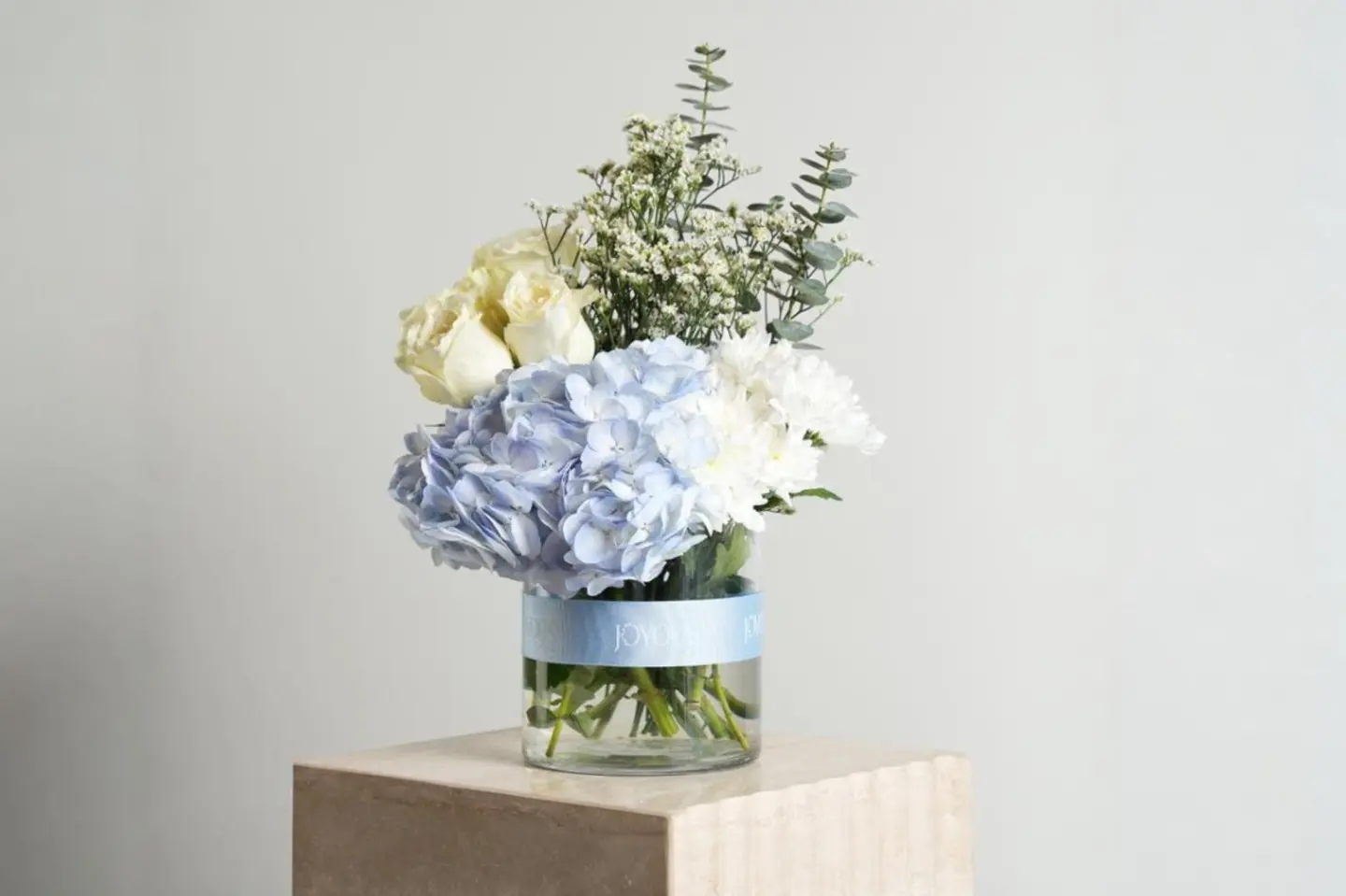 فازة المولود