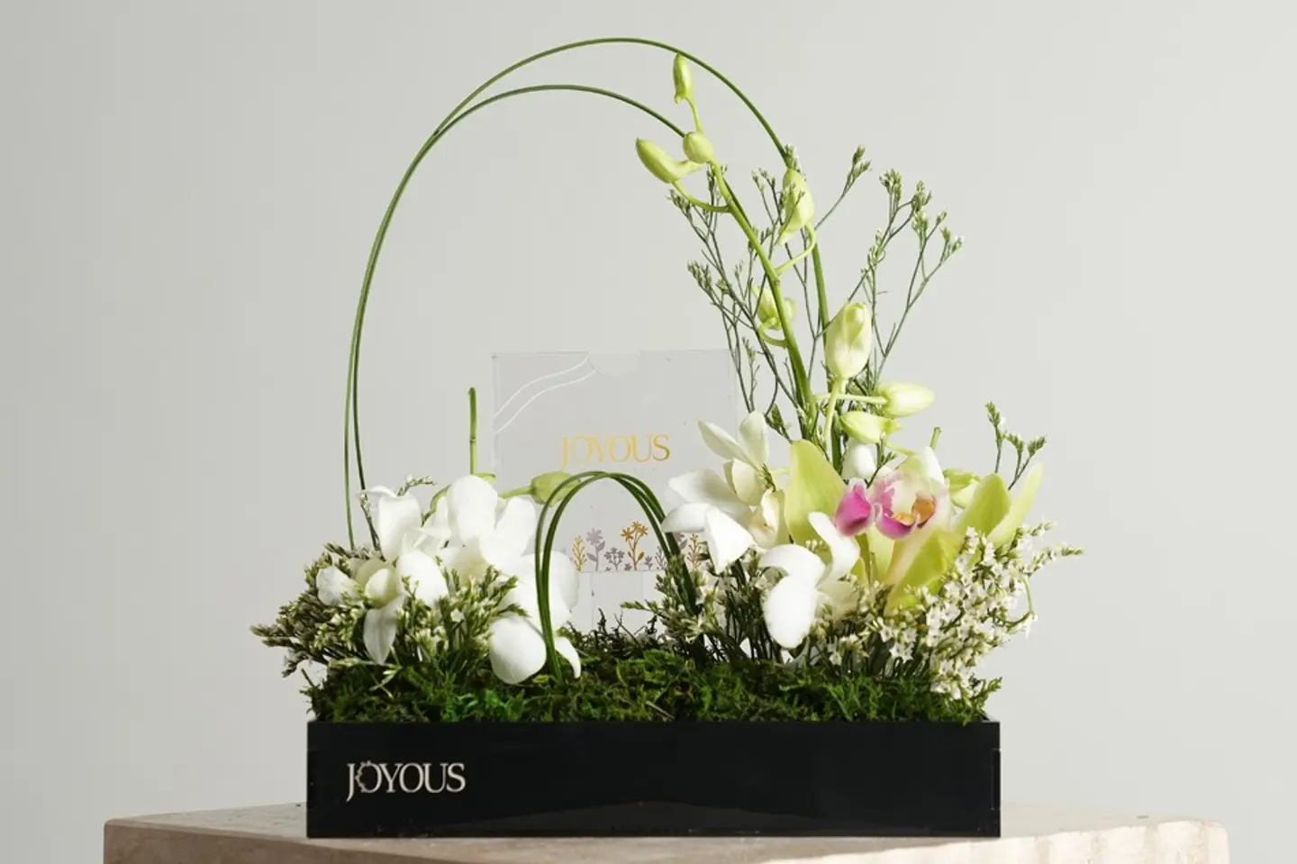 بلوم إليجـانس