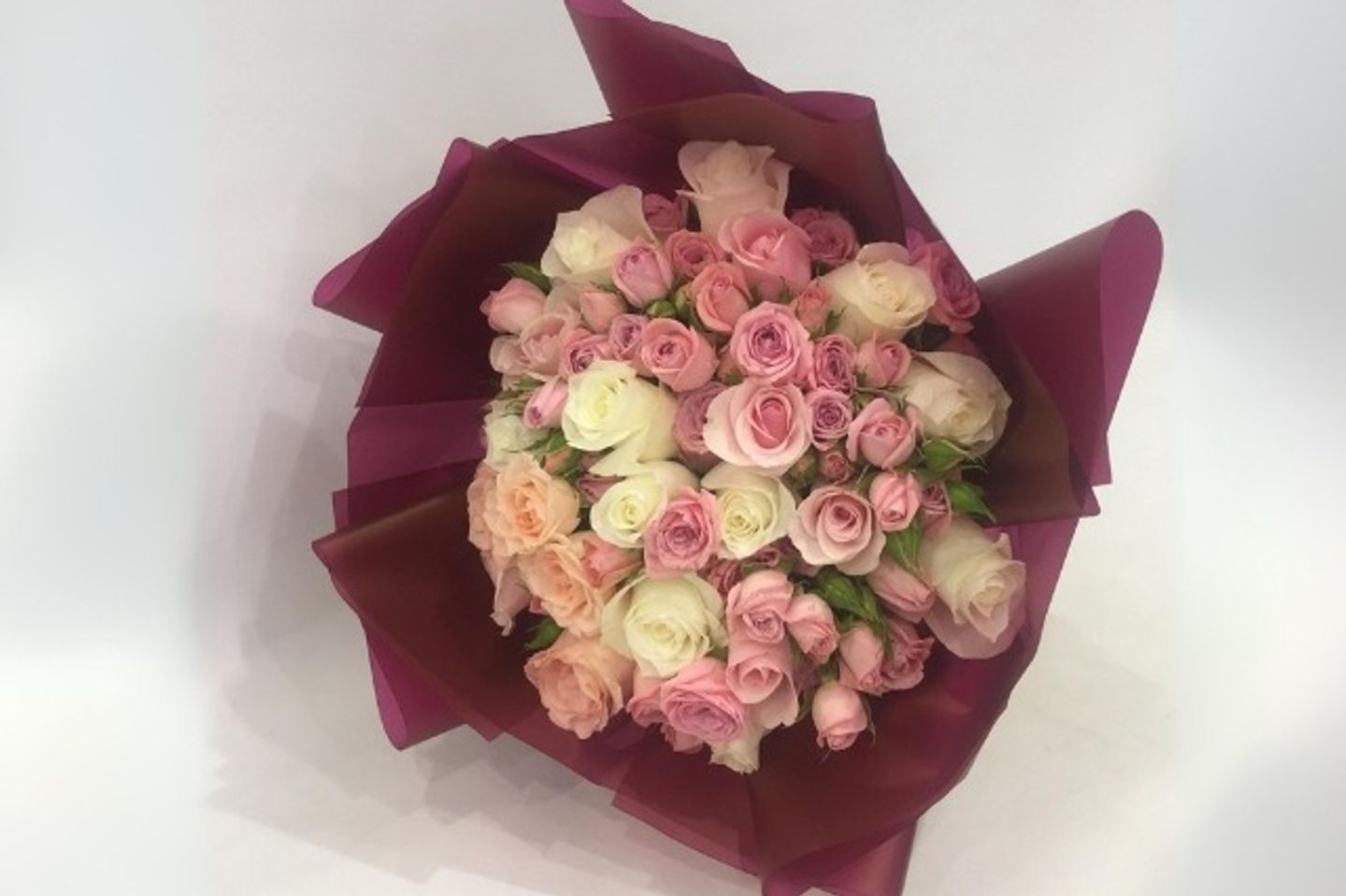 بوتاي  ٤٢
