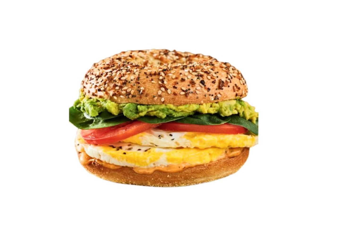 Egg Avocado Beagle