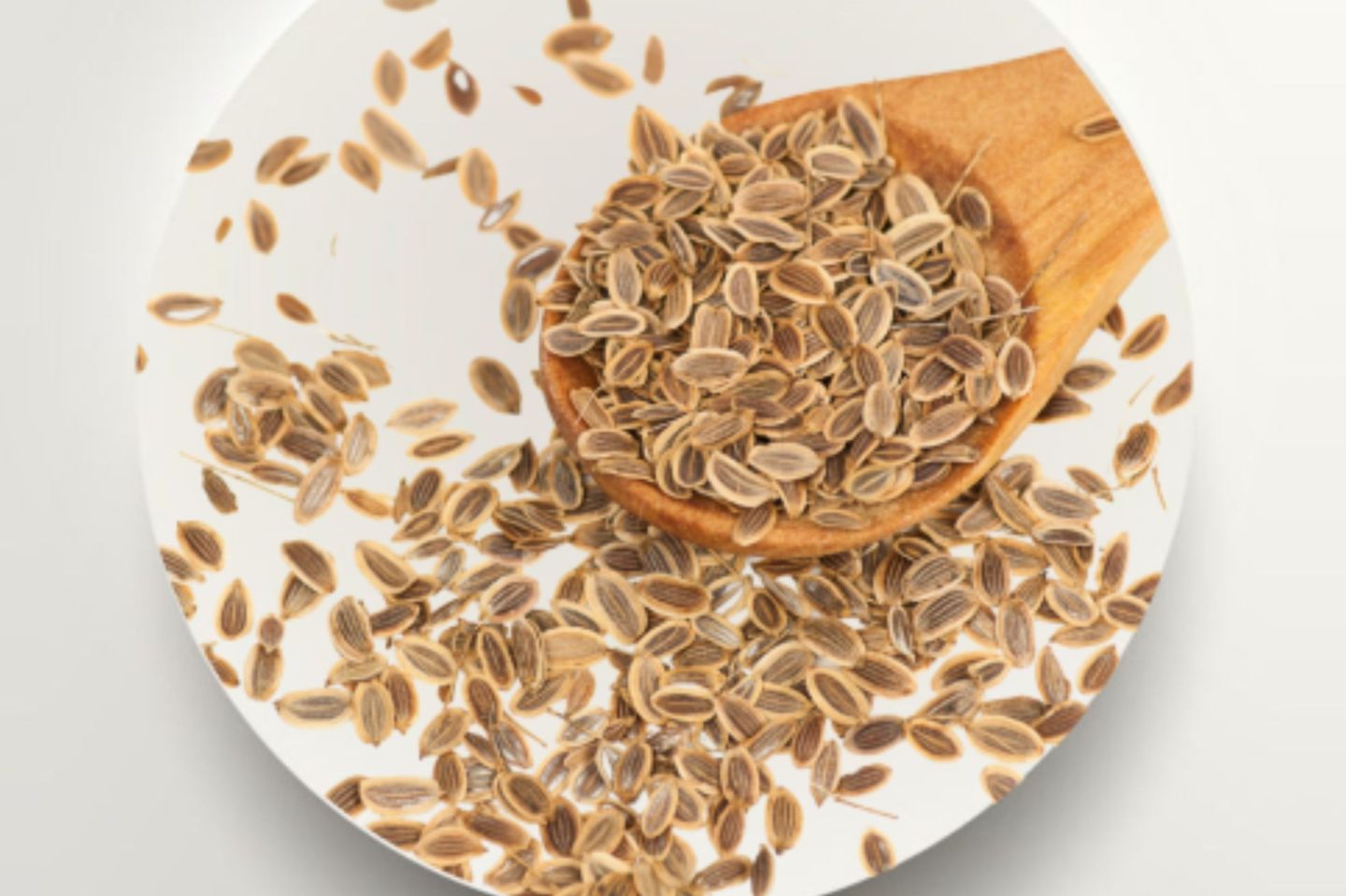 Dill Seeds 250g