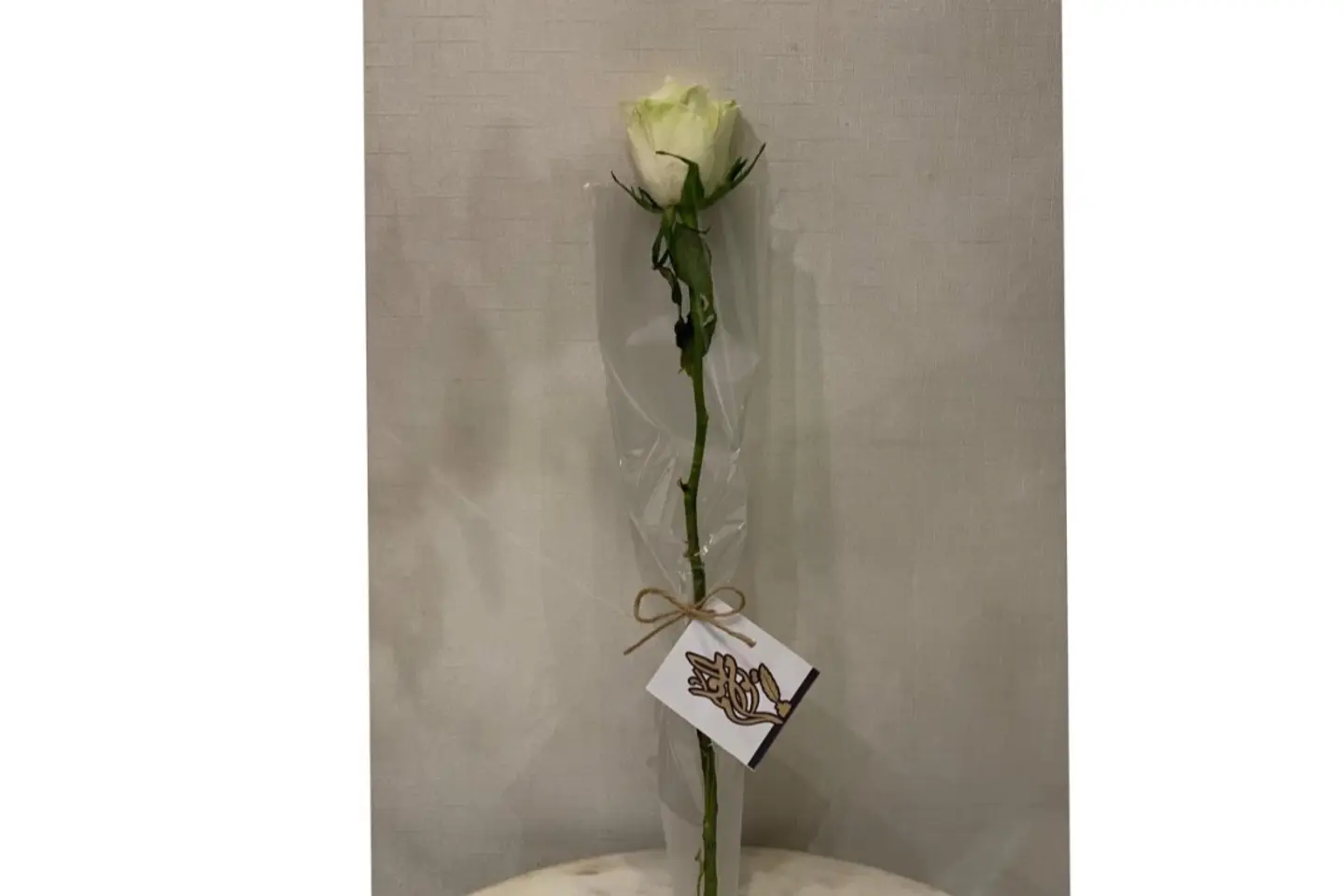 توزيعات المعلم ٢