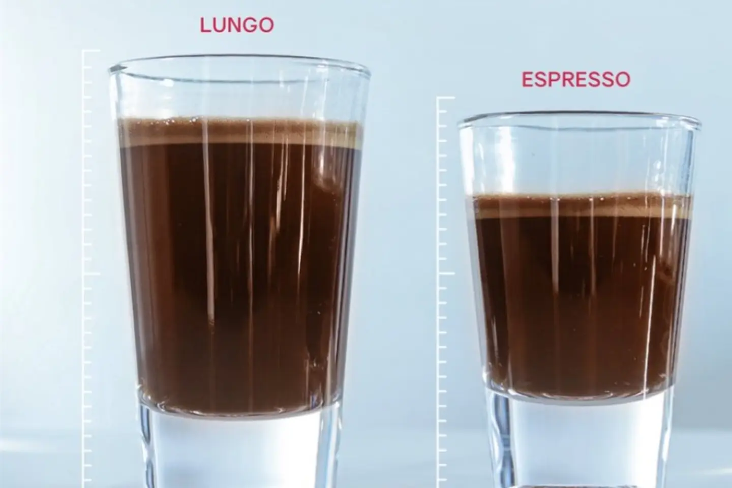 Lungo Blak