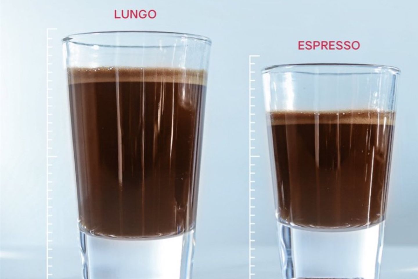 Lungo Blak