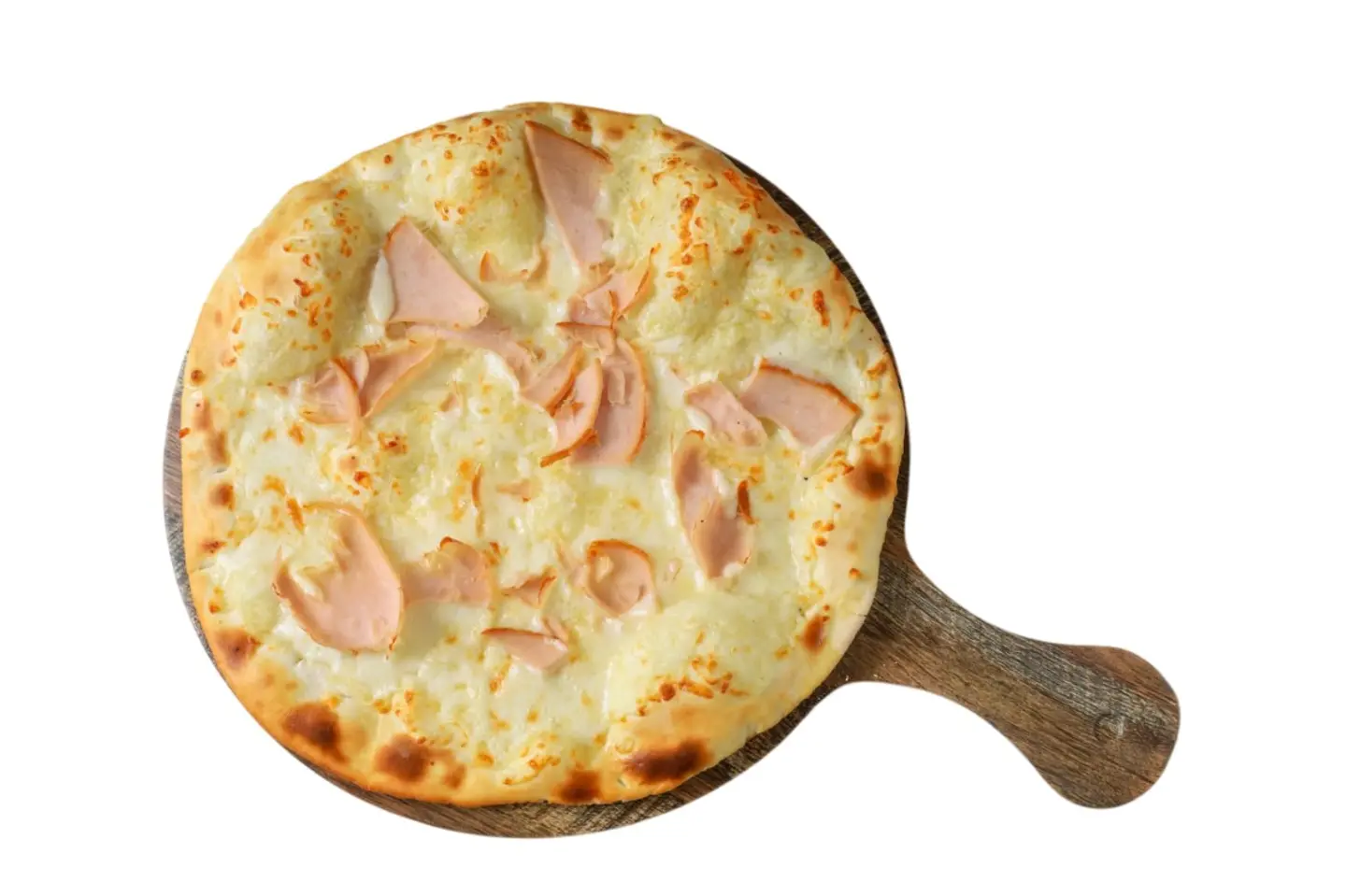 قوارب جبنه قشقوان تركى