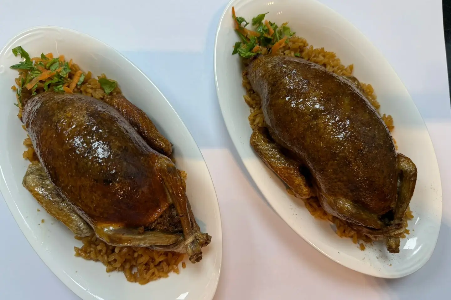 عرض الحمام اليوم الوطني