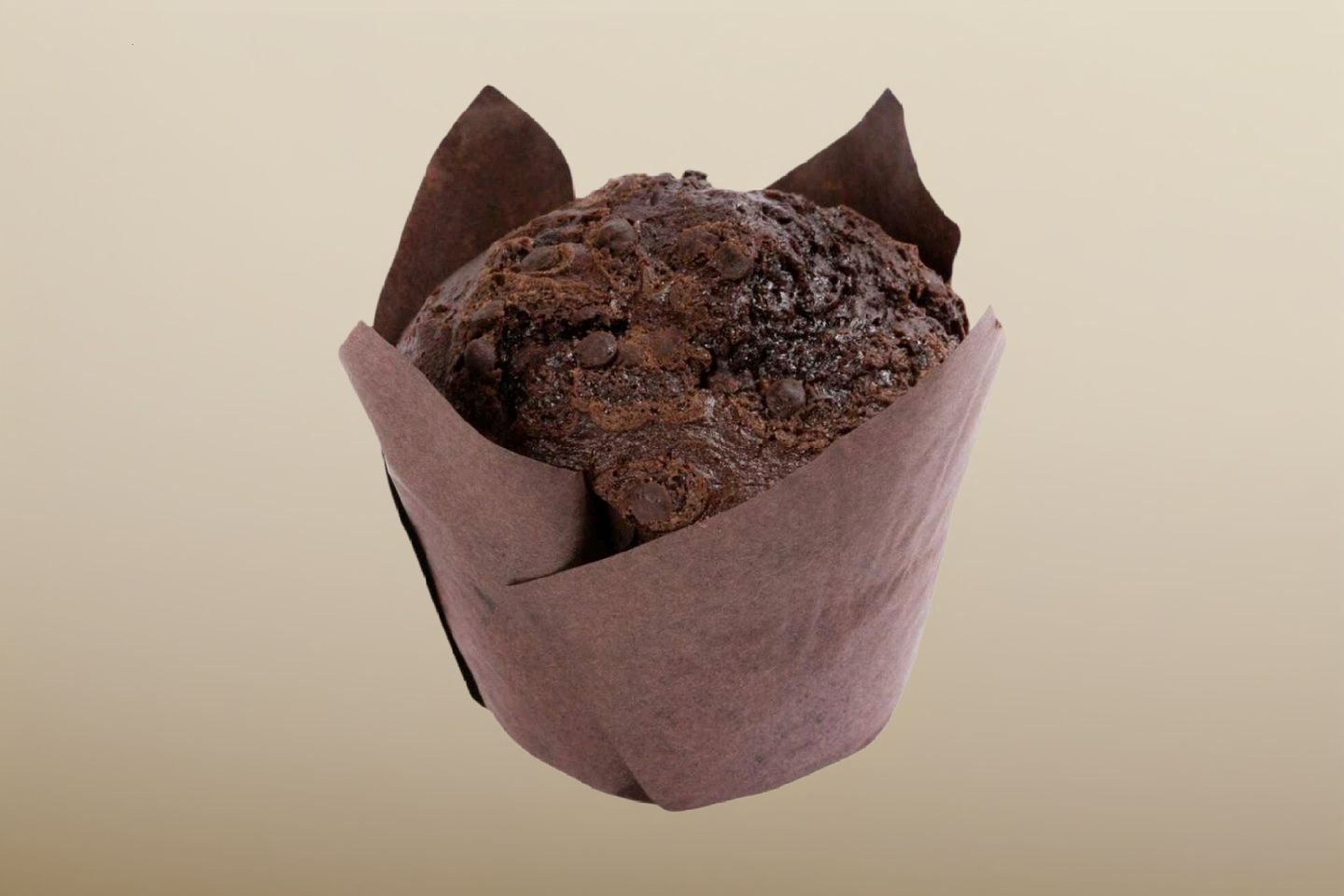 Chocolate Muffin