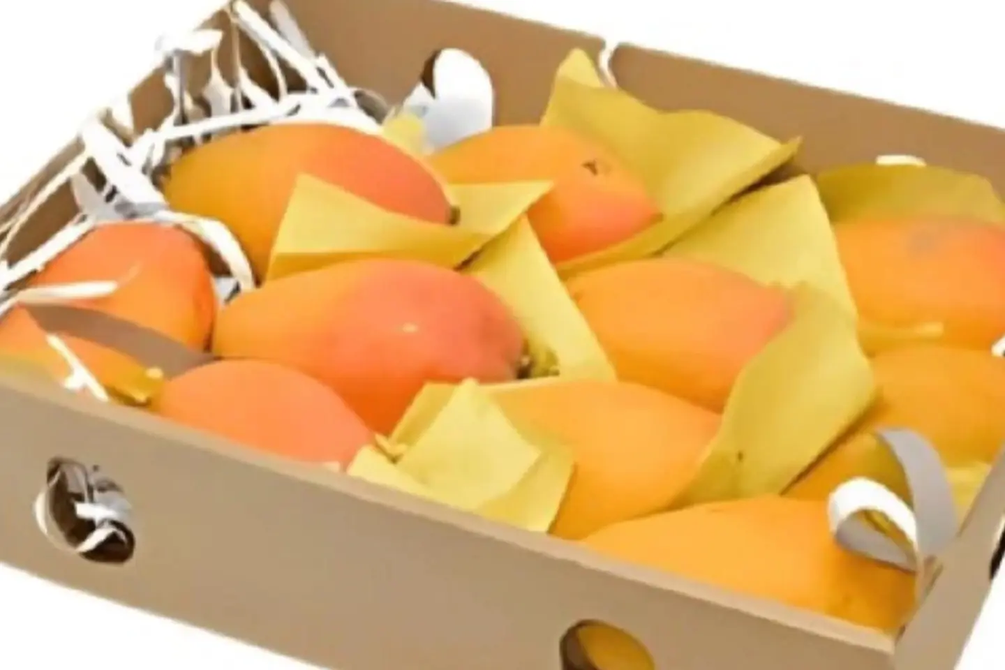 كرتون مانجا