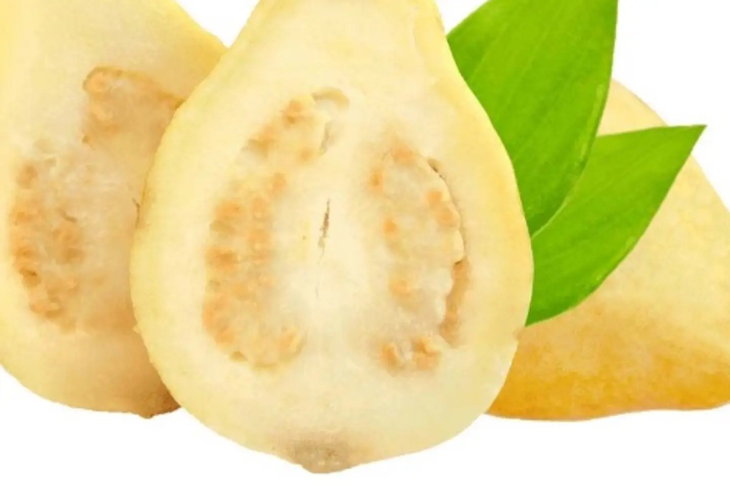 كرتون جوافه - كرتون