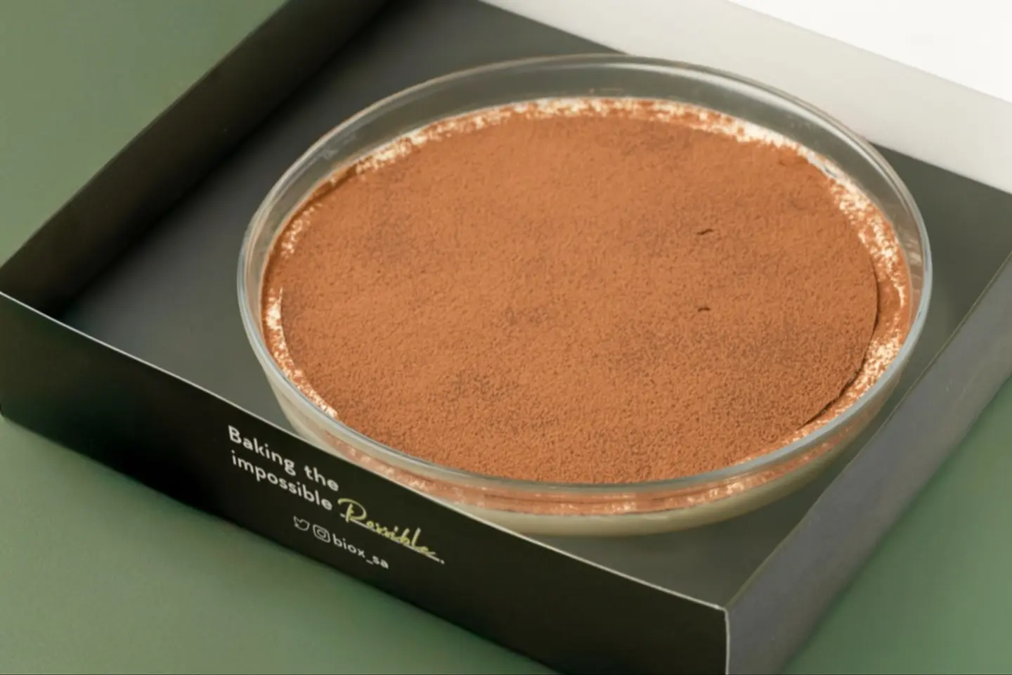 Large Size Tiramisu