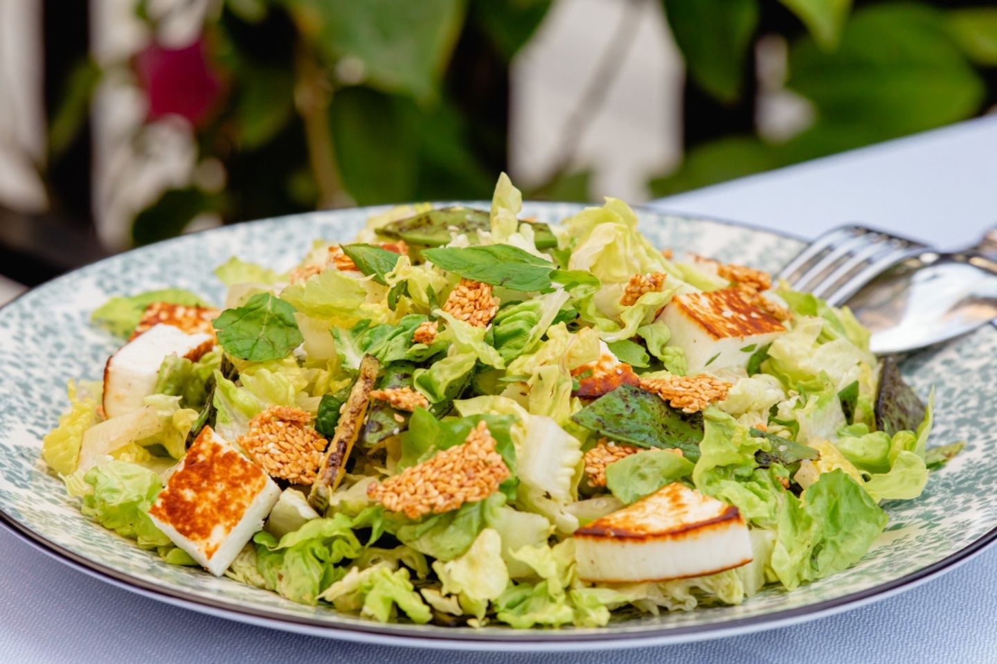Grilled Manouri Cheese Salad